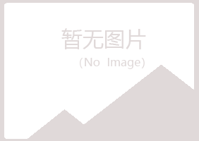 兰山区从安金融有限公司